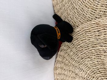 Collection Dog Artlist, peluche Labrador noir