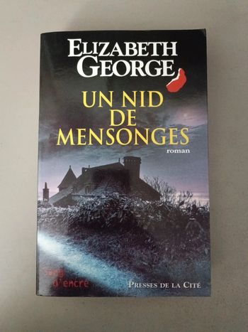 Elisabeth Georges un nid de mensonge