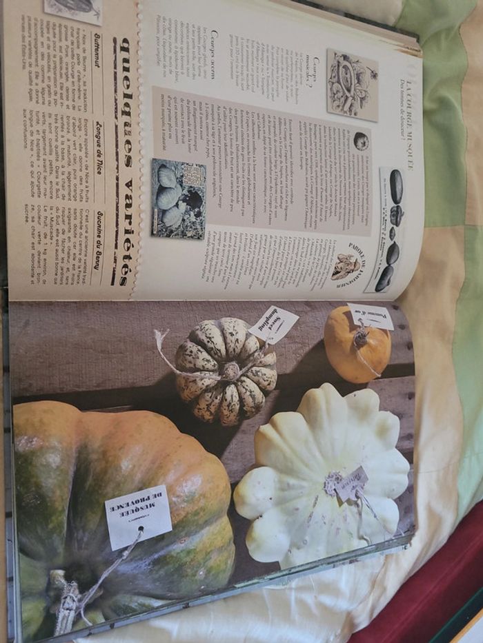 De mémoire de potager - photo numéro 4