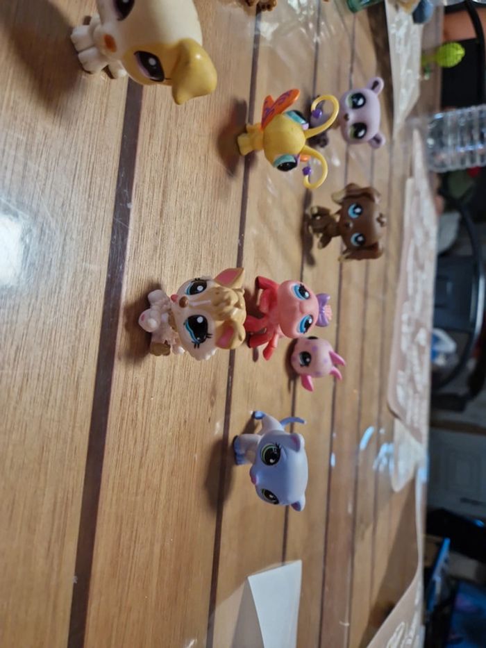 Lot petshop (7) - photo numéro 4