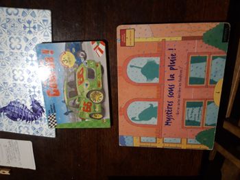 Lot 2 livres enfant 
