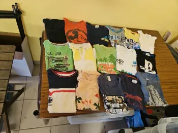 Lot tee shirt garçon