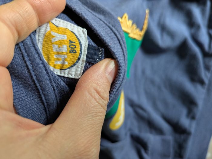 Lot de 5 pulls sweats 2 ans garçon - photo numéro 6