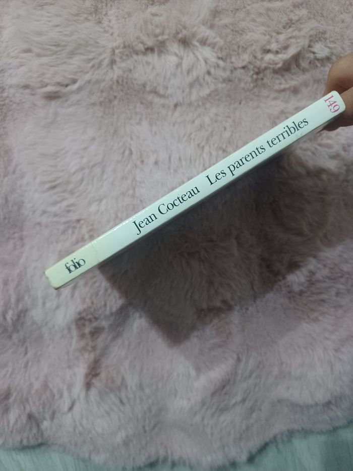 Livre: les parents terribles - photo numéro 4