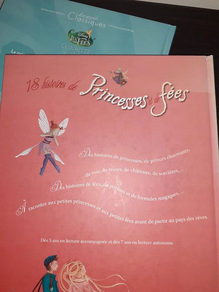 Lot de 2 livres fées  clochette - photo numéro 3