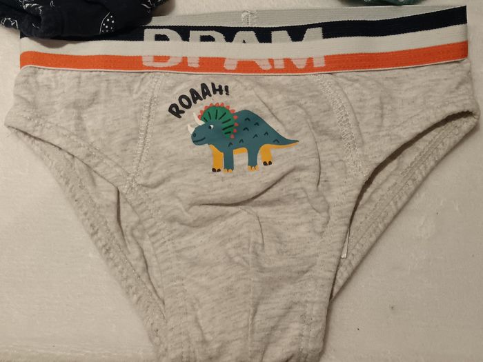 Slips DPAM - photo numéro 2