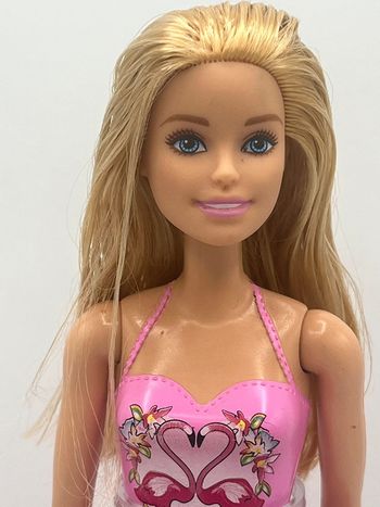 🦩 barbie water play / plage 🦩