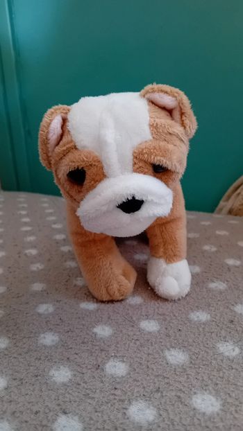 Peluche chien our generation