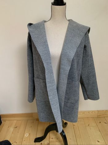 Veste grise à capuche taille 40