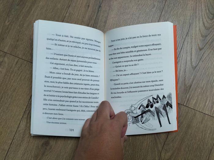 Roméo moustiques sympathique - photo numéro 4