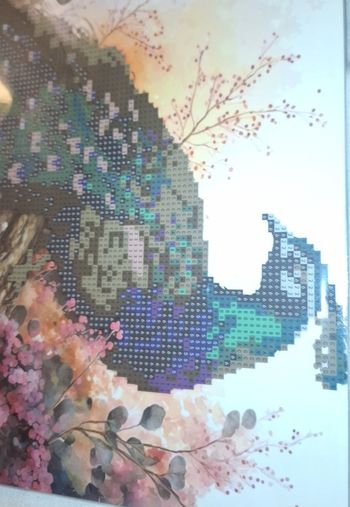 Diamond painting paon a faire