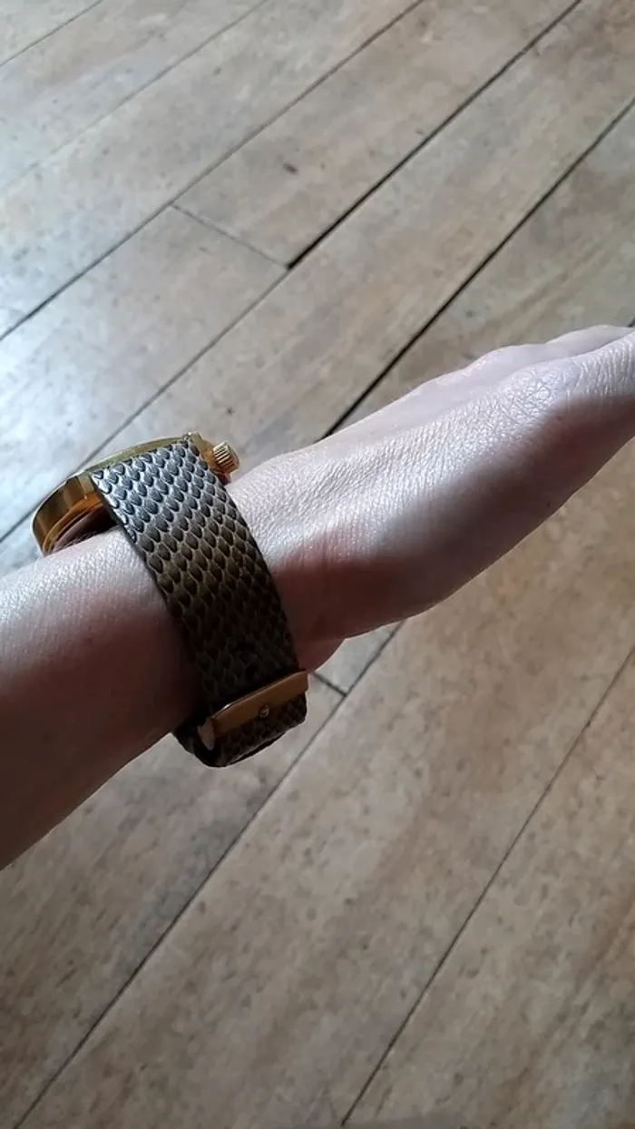 Montre Komono Winston Monte Carlo or et peau de serpent - photo numéro 4