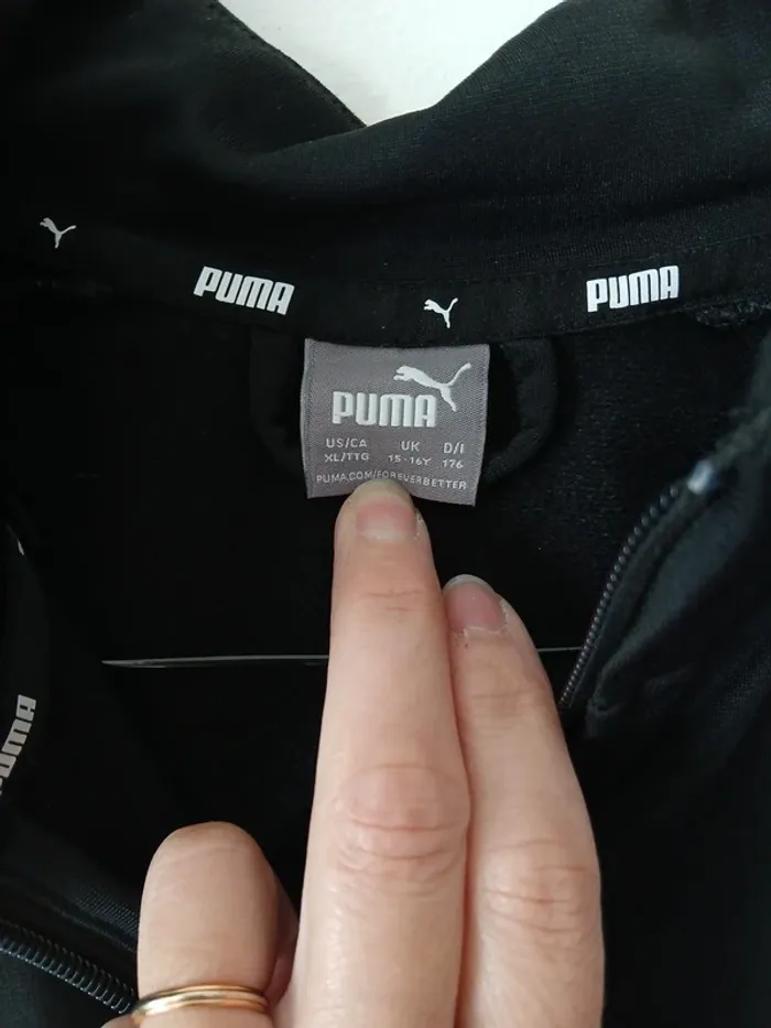 Haut puma - photo numéro 3