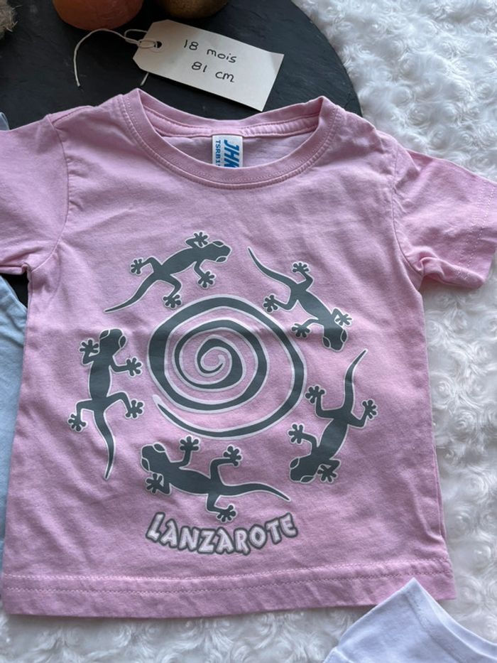 Lots de t-shirt - photo numéro 4