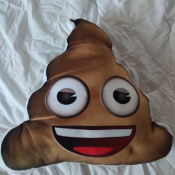 Coussin Emoji crotte
