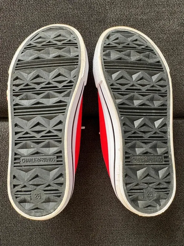 Baskets plates 26 - photo numéro 3