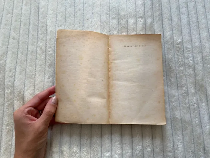 Poil de carotte Jules Renard - photo numéro 2