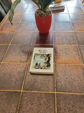 Mes Ours et moi bibliothèque verte