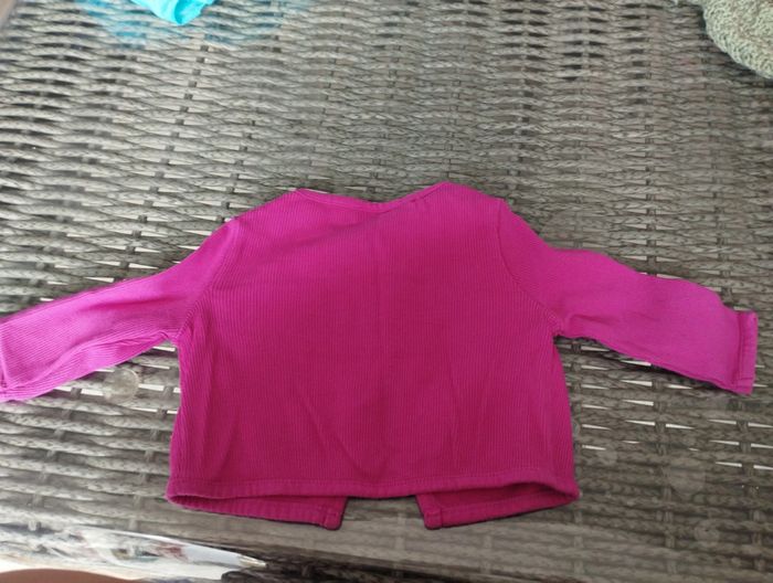 Gilet rose oiseau - photo numéro 2