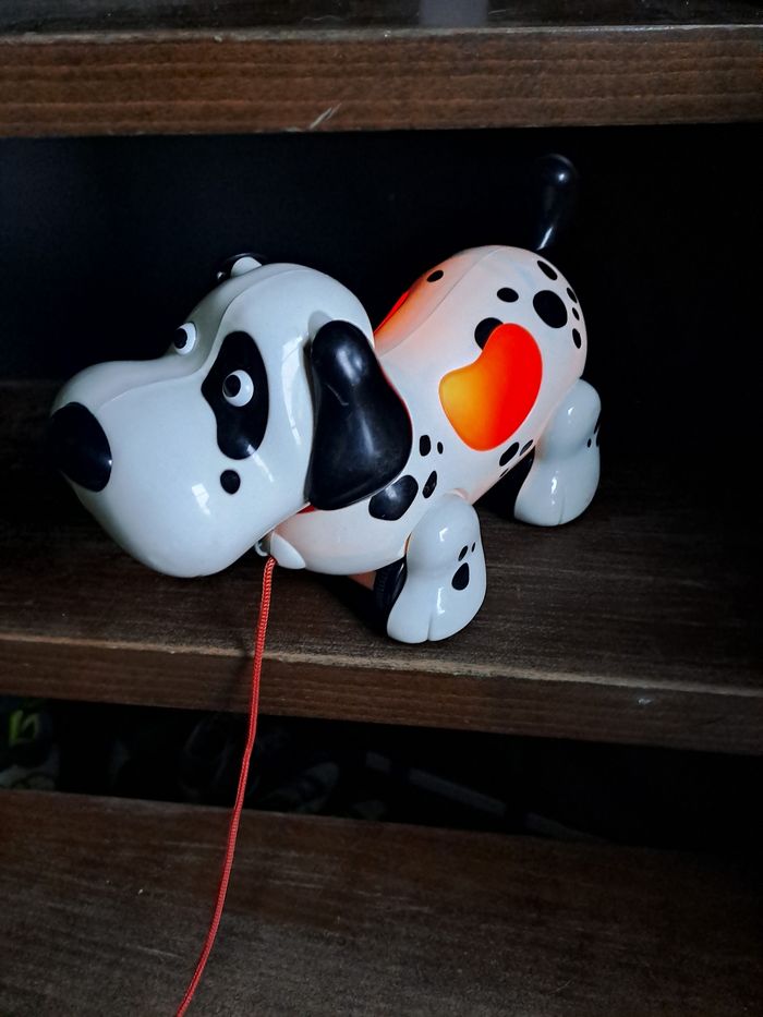 Chien a tiré avec son et lumiere - photo numéro 4