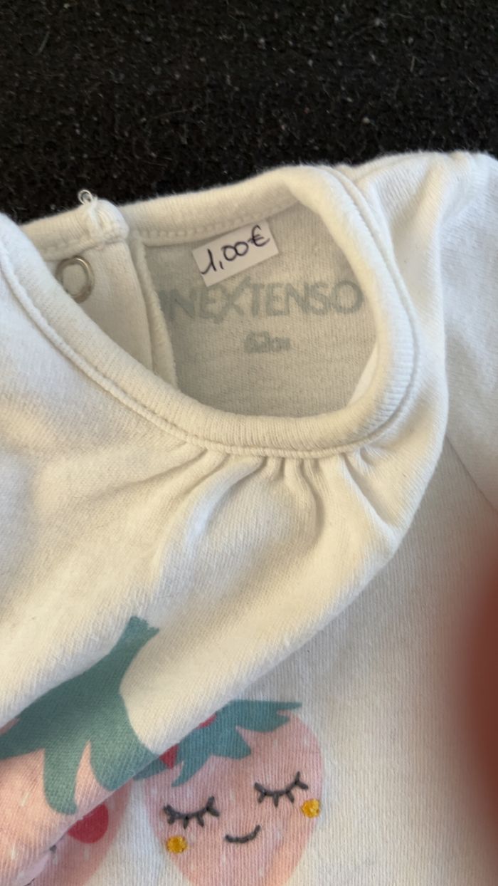 Bodie 3 mois - photo numéro 5