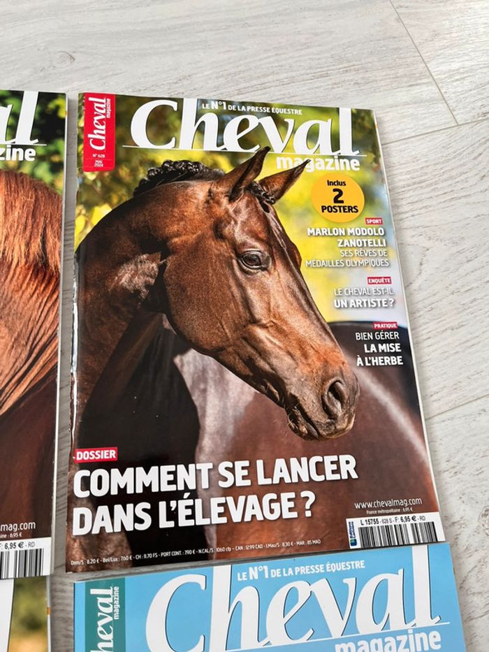 Cheval magazine collection 2024 - photo numéro 4