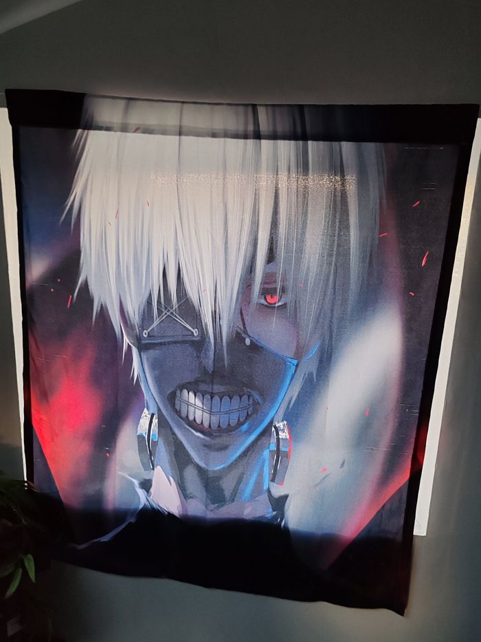 Rideaux manga - photo numéro 2