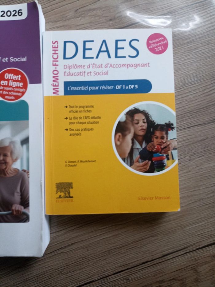 Diplôme d'état d'accompagnant éducatif et social - photo numéro 3