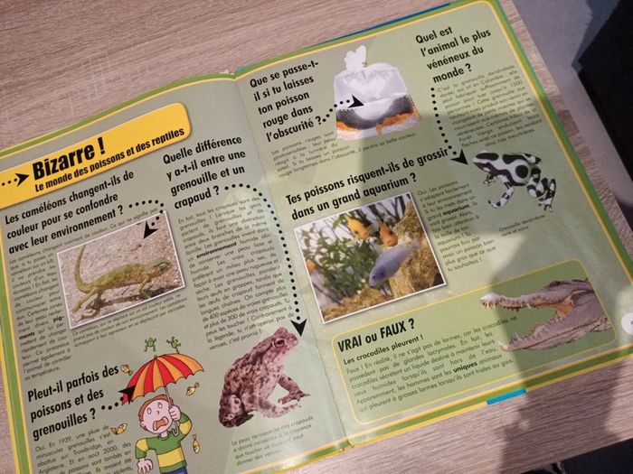 Incroyable mais vrai question/réponse - photo numéro 3