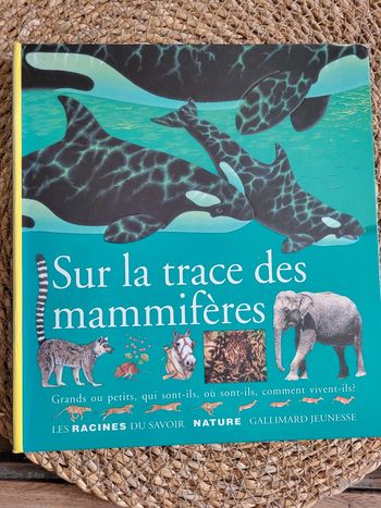 Sur les traces des mammifères.
