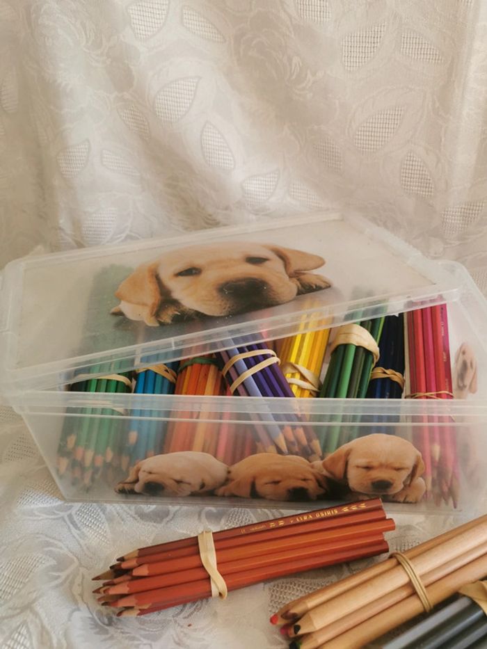 Énorme lot ~250 crayons de couleur + boîte hermétique chiots | Multimarques