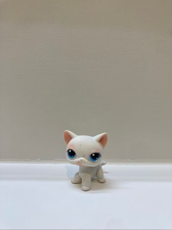 lps chat européen
