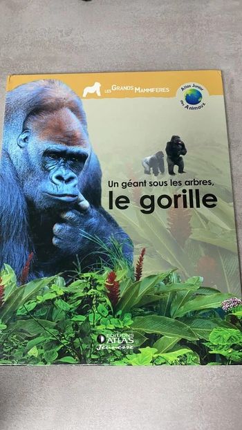 Un géant sous les arbres : le gorille