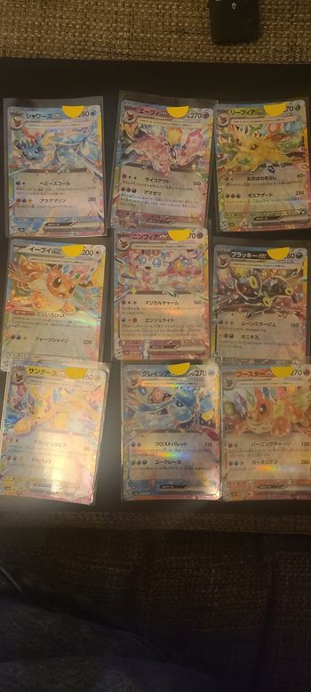 Set terracristal Evoli/ Evolition