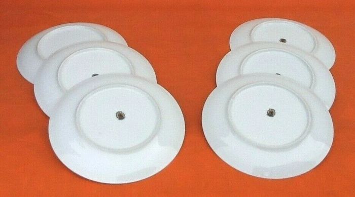 6 assiettes plates Porcelaine fine de Bohème décor floral - photo numéro 3