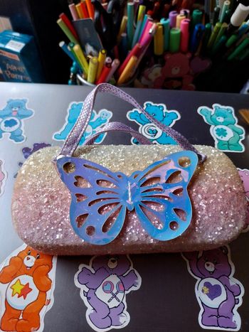 Trousse à lunette ou rangement paillettes et papillon