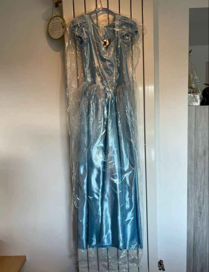 Robe/Déguisement Cendrillon - photo numéro 2