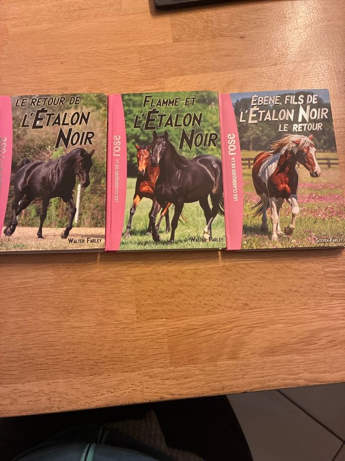 Lot de livres l’étalon noir
