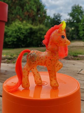 Poney g2 - hip holly confettis orange