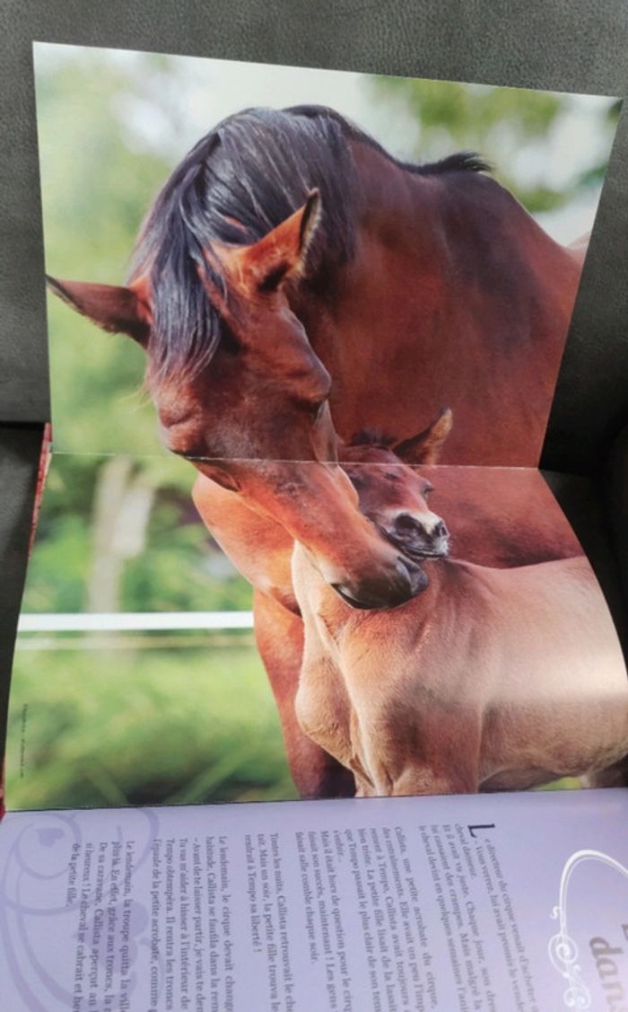 Livre posters mes plus belles histoires de chevaux - photo numéro 10