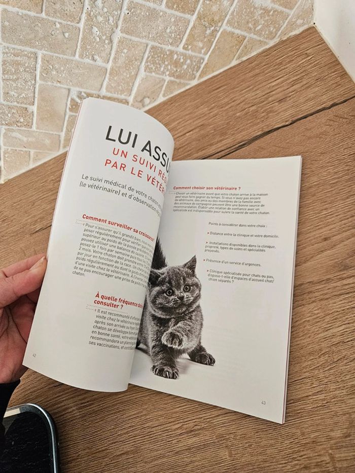 🔅 livre guide chaton - photo numéro 5