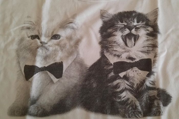 Tee-shirt court - photo numéro 2