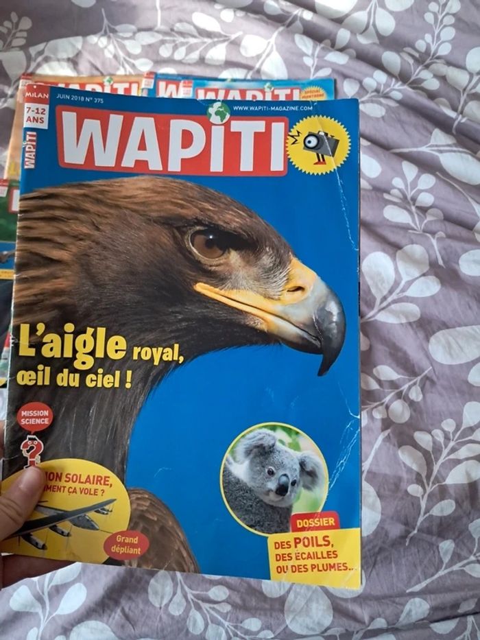 Lot 8 magazines wapiti - photo numéro 2
