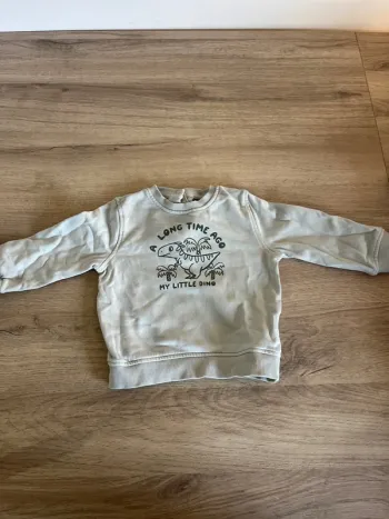 Pull bébé garçon