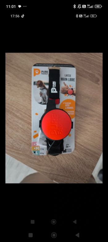 Laisse pour gros chien