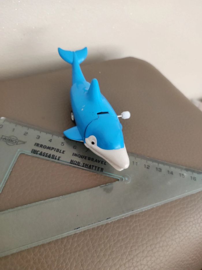 wind up dauphin - photo numéro 4