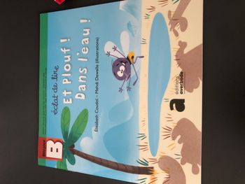 Et Plouf! Dans l'eau!