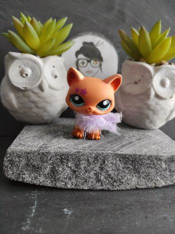 Littlest Petshop LPS Pet Shop chat main coon 2258 cat maincoon #geektradelpschat