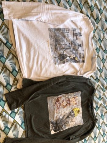 Lot de 2 pulls fins 12 ans