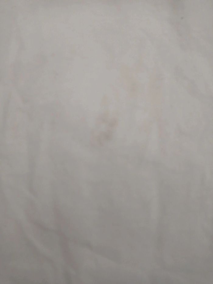 Tee shirt - photo numéro 2